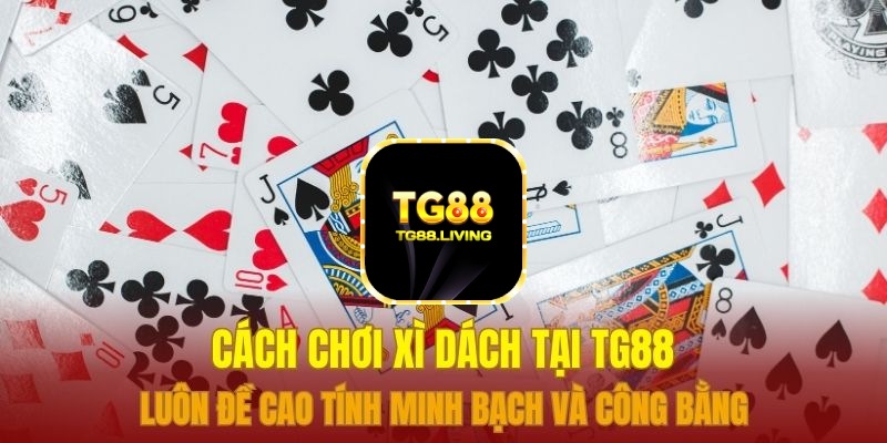 Cách chơi xì dách tại TG88 luôn đề cao tính minh bạch và công bằng