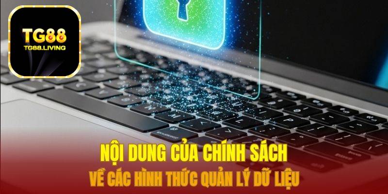 Chính Sách Bảo Mật 3 Nội dung của chính sách về các hình thức quản lý dữ liệu