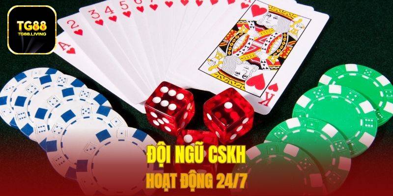 Đội ngũ CSKH hoạt động 24/7